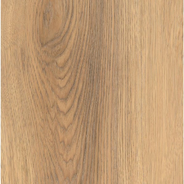 Home Decorators Collection Take Home Sample - Tolleson Oak Click Lock Waterproof Luxury Vinyl Plank Flooring