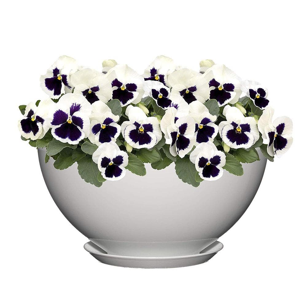 Stark White Resin Oval Indoor/Outdoor Planter with Drainage