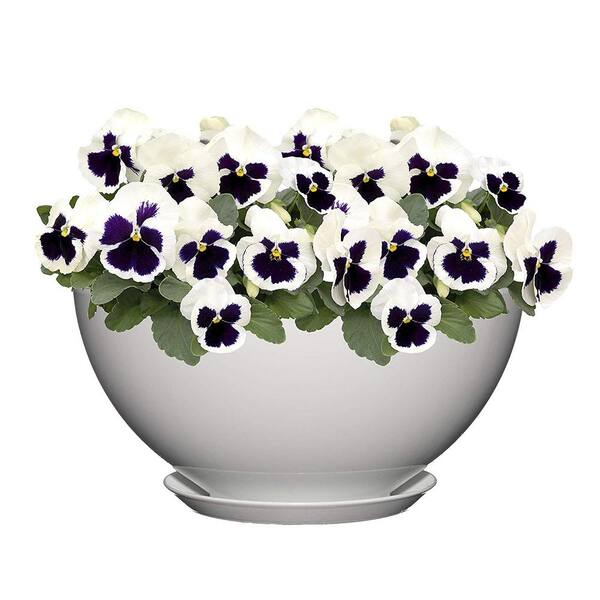 Classic Home & Garden 10 in. Stark White Rosie Bowl Resin Planter