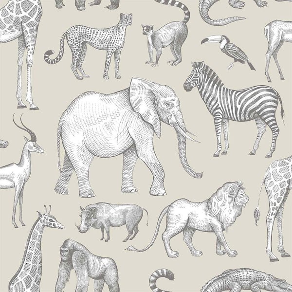 Chesapeake Brown Kenji Safari Matte Non-Pasted Wallpaper Sample