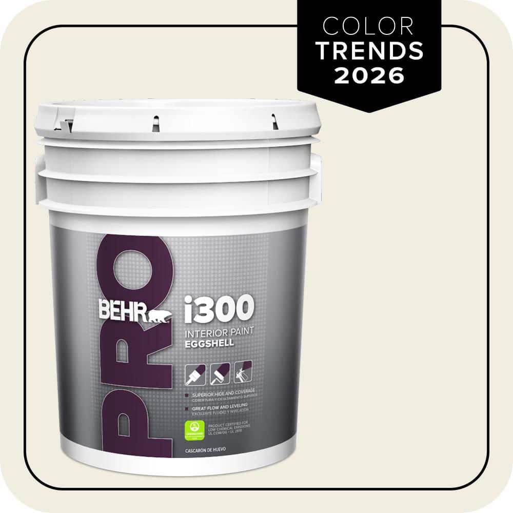5 gal. Designer Collection #DC-003 Blank Canvas Eggshell Interior Paint price history on PriceWatchPro