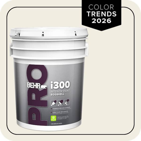 5 gal. Designer Collection #DC-003 Blank Canvas Eggshell Interior Paint