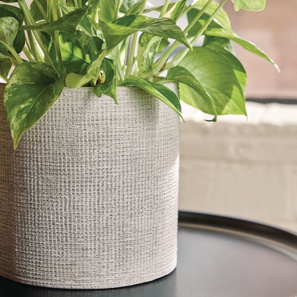 Vigoro 6 in. Evangeline Concrete Gray Ceramic Planter (6 in. D x 6