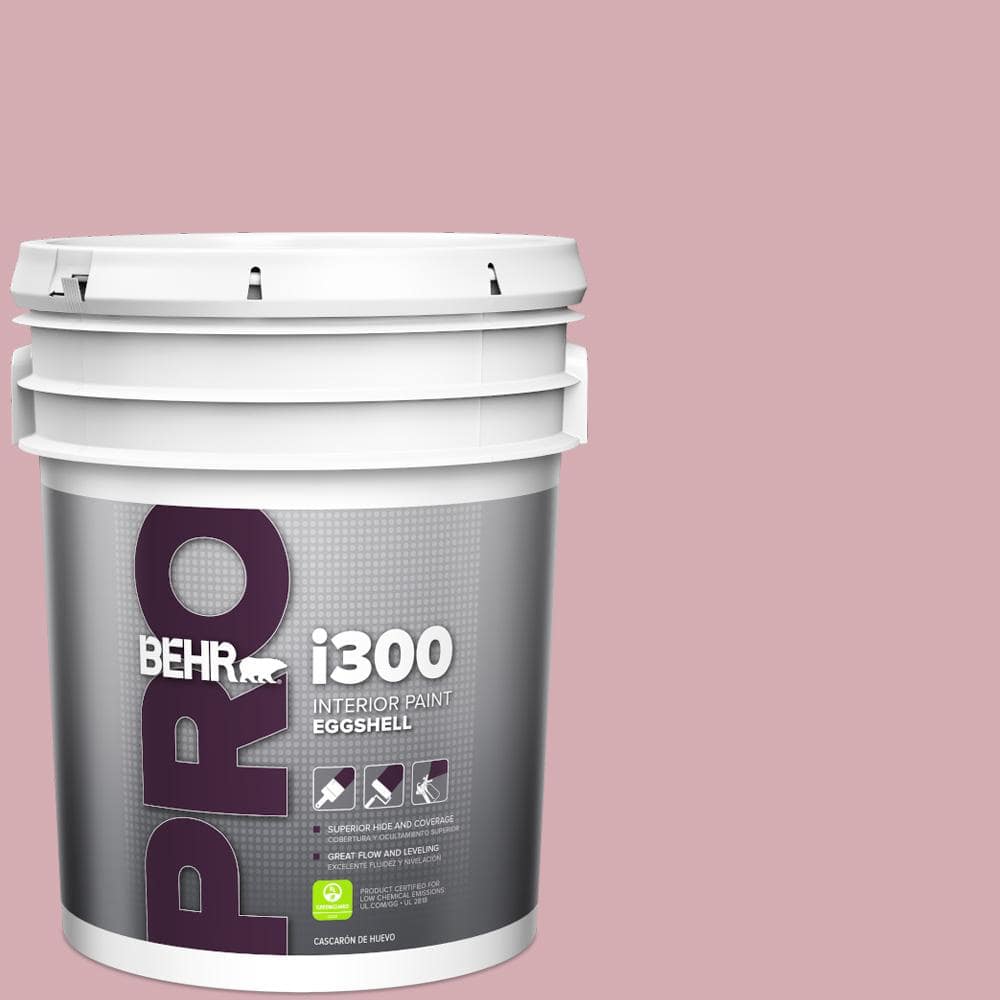 5 gal. #S130-3 Ballet Rose Eggshell Interior Paint price history on PriceWatchPro