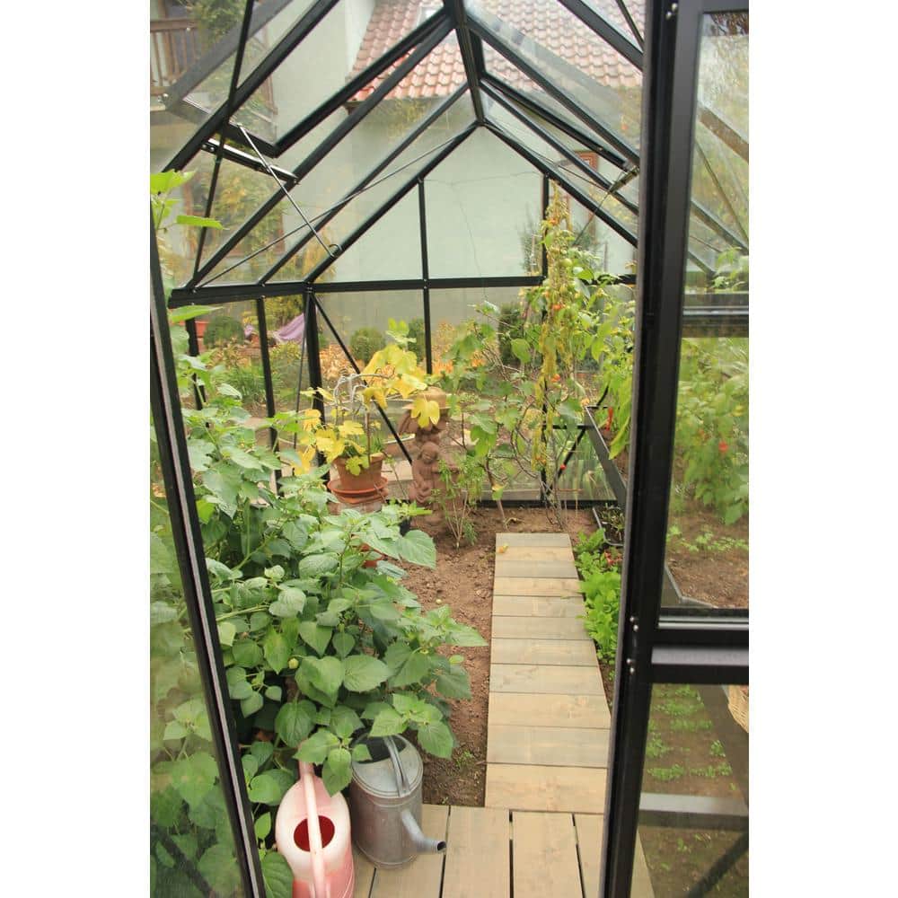 Junior Victorian Black Aluminum and Glass Walk-In Greenhouse