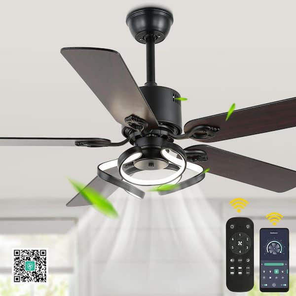 Oaks Aura Tranquil 52 in. Smart Control Indoor Matte Balck 6-Speed Futuristic Modern Ceiling Fan with Light and Remote, Dimmable