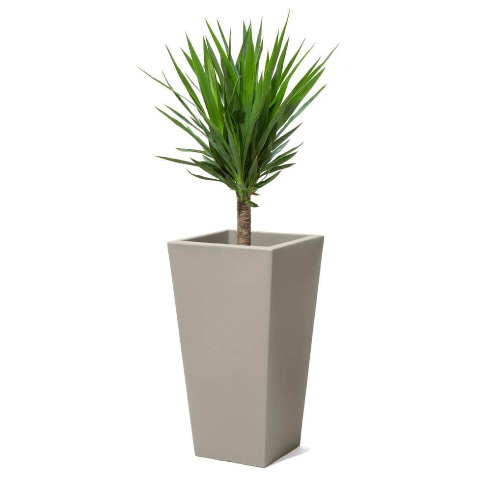 Tremont Tall Concrete Resin Self-Watering Planter