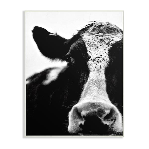 Stupell Industries 10 in. x 15 in. "Cow Black And White Close Up" by Lettered and Lined Printed Wood Wall Art