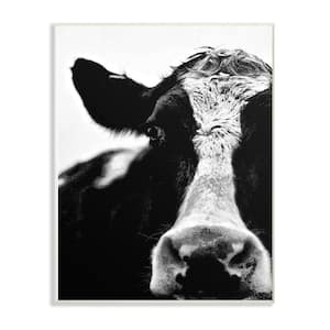 12.5 in. x 18.5 in. "Cow Black And White Close Up" by Lettered and Lined Printed Wood Wall Art