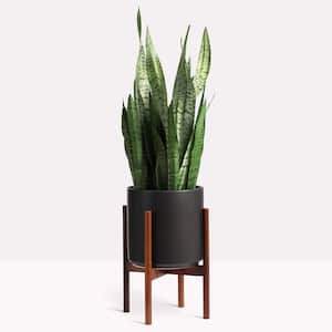 10 in. Black Ceramic Cylinder Planter with Medium Wood Stand (10 in., 12 in. or 15 in.)