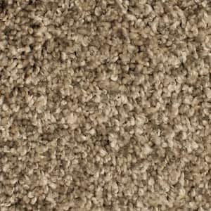 Pioneer - Hayloft - Brown 73.5 oz. SD Polyester Texture Installed Carpet