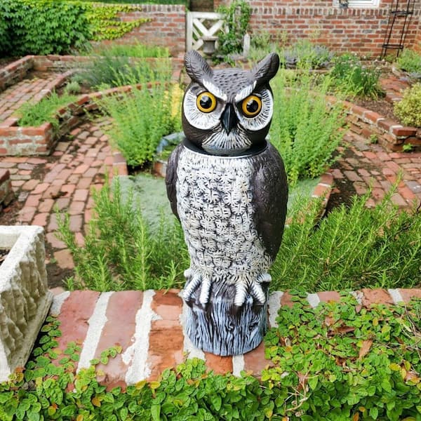 owl statue security camera