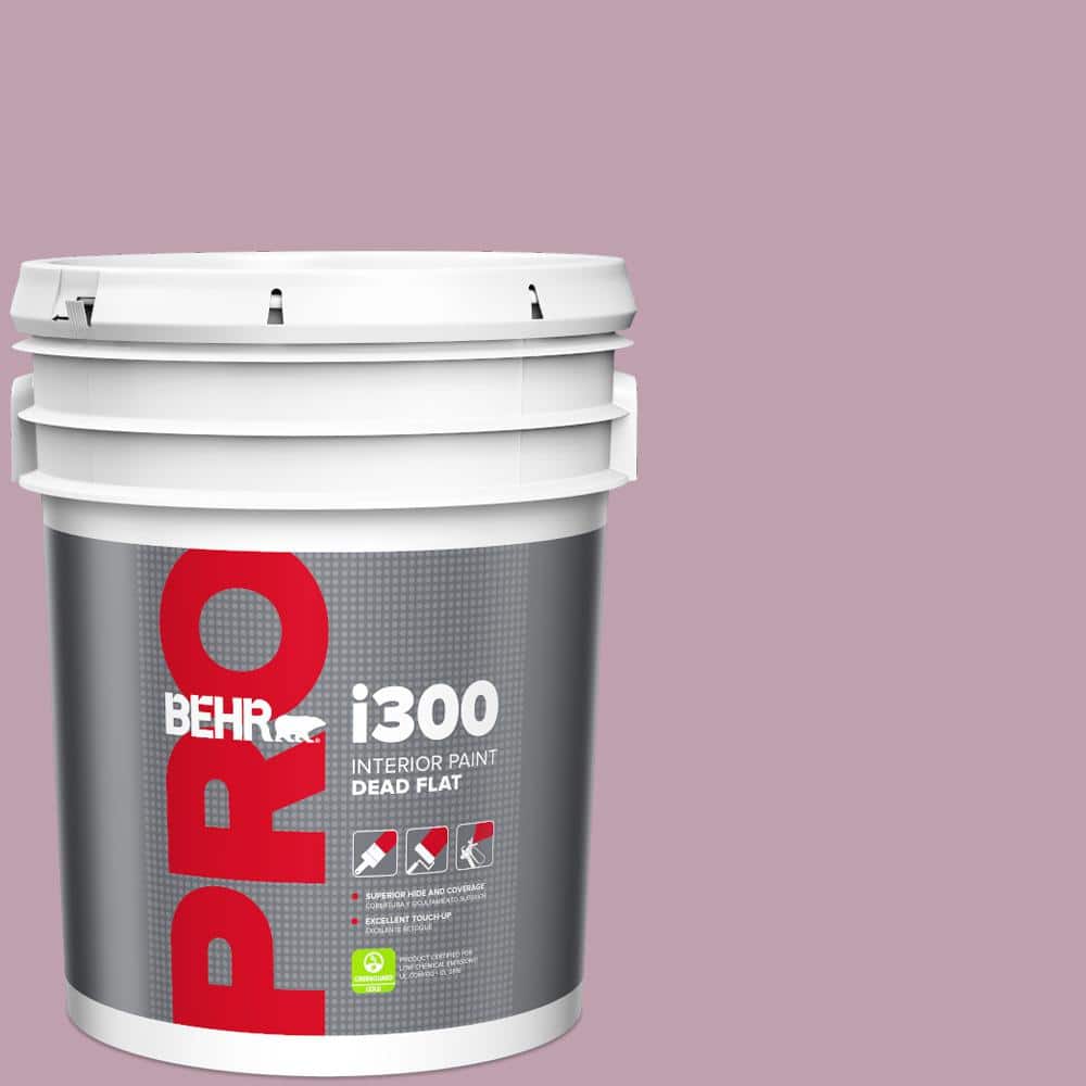 5 gal. #S120-4 Decanting Dead Flat Interior Paint price history on PriceWatchPro