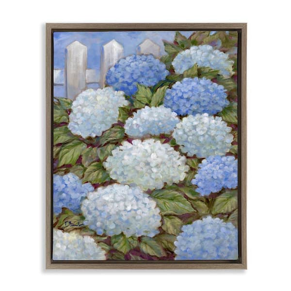 Blue & White Hydrangea by Paul Brent Brown Floater Frame Nature Graphic Art Print 21 in. x 17 in.
