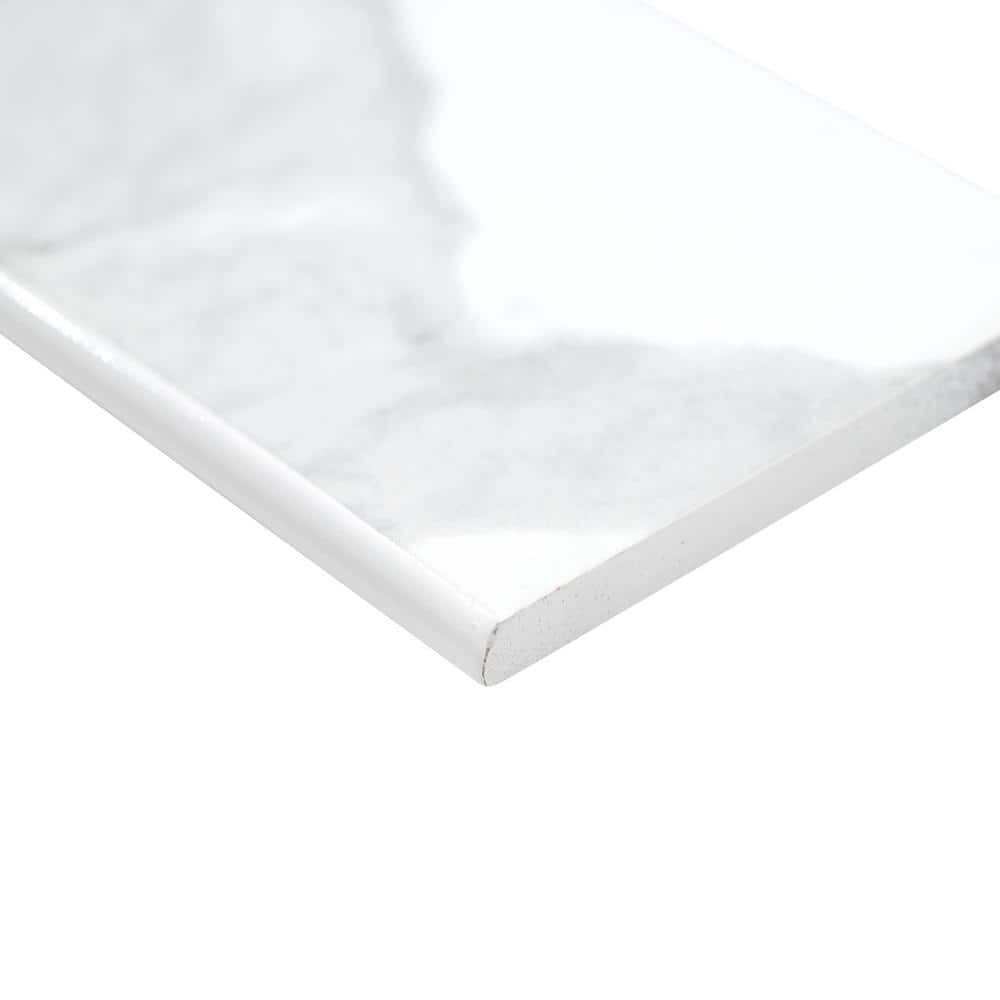 Ader Tegal Bullnose 4 in. x 24 in. Polished Porcelain Floor and Wall Tile (20 lin. ft./Case) price history on PriceWatchPro