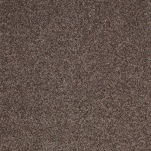 Cleoford Cocoa Gray 47 oz. Triexta Texture Installed Carpet