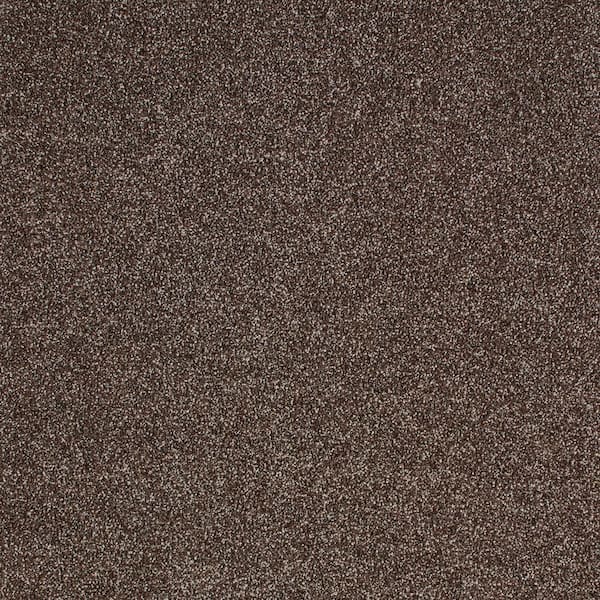 Cleoford Cocoa Gray 47 oz. Triexta Texture Installed Carpet