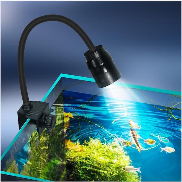 Etokfoks Aquarium Spectrum Fish Tank LED Light with 3-Colors Adjustable  Focal Length in Black MLPH020LT204 - The Home Depot