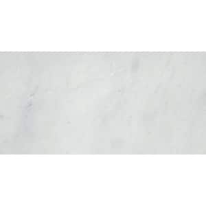 Winter Frost Classico 12 in. x 24 in. Marble Floor and Wall Tile (12 sq. ft. / case)
