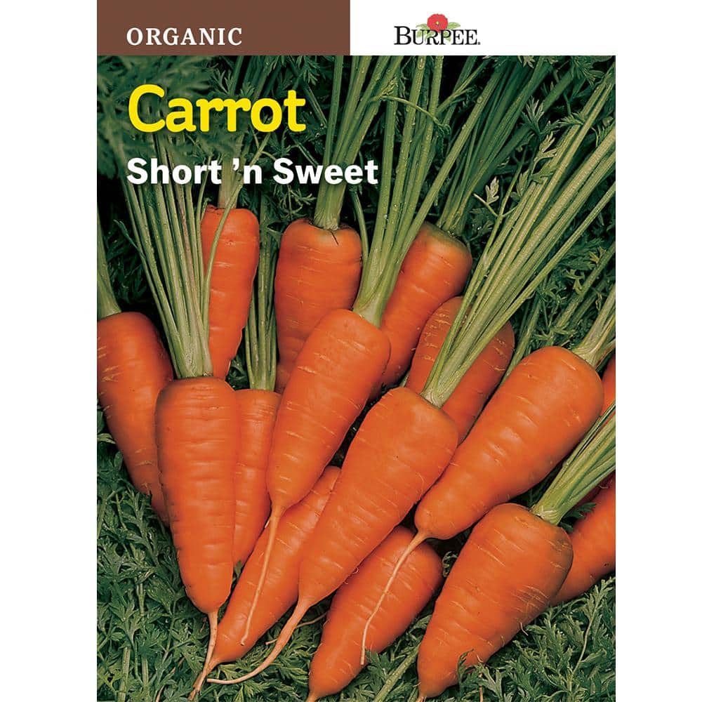 Burpee Carrot Short N Sweet Org Seed 67548 - The Home Depot