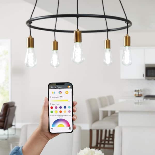 60-Watt Equivalent Smart ST-19 Clear Color Changing CEC LED Light Bulb with Voice Control (1-Bulb) Powered by Hubspace