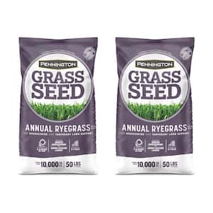 50 lbs. Annual Ryegrass Grass Seed (2-Pack)