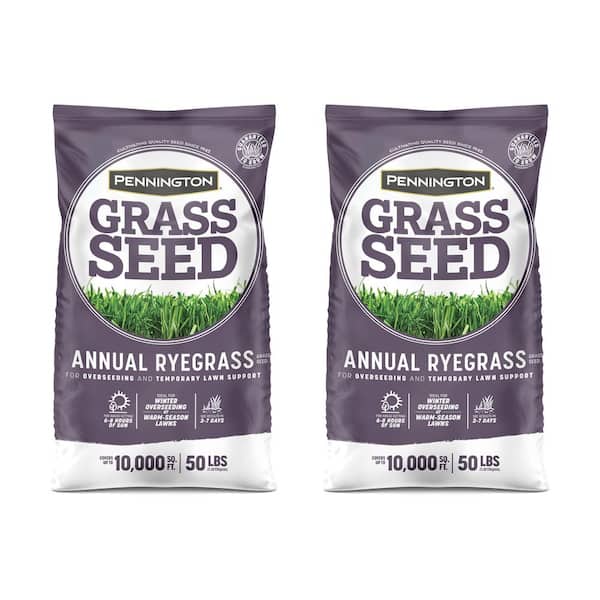 Pennington 50 lbs. Annual Ryegrass Grass Seed (2-Pack)