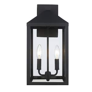 Storm 16.8 in. 2-Light Black Outdoor Wall Light Fixture with Clear Glass