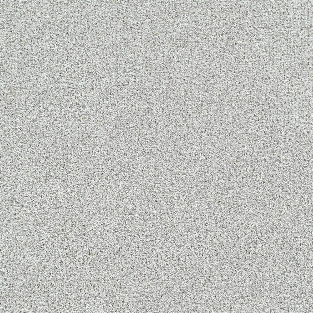 8 in. x 8 in. Texture Carpet Sample - Evermore II - Color Everlasting price history on PriceWatchPro