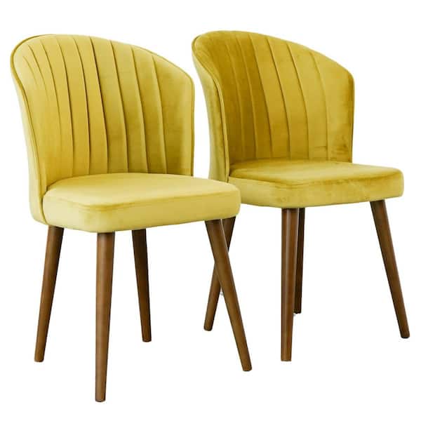 Arleen Gold Velvet Upholstered Dining Chair, Solid Wood Legs (Set of 2)
