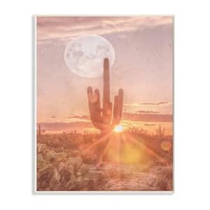10 in. x 15 in. "Sunset Moonrise Southwestern Peach Tinted Photograph Wall Plaque Art" by Ramona Murdock