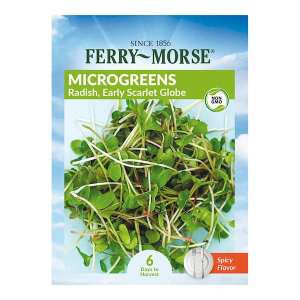 Ferry-Morse Radish Early Scarlet Globe Micro-greens Vegetable Seeds