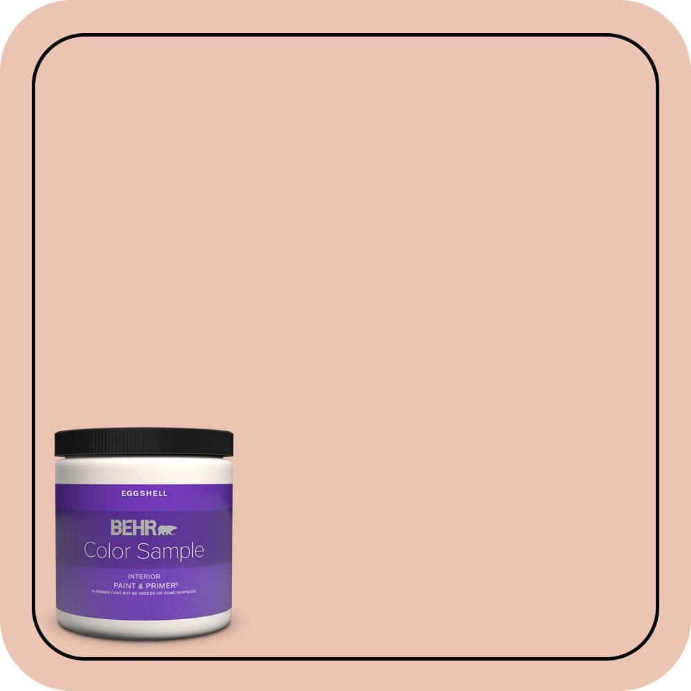 8 oz. Home Decorators Collection #HDC-CT-14 Coral Coast Eggshell Enamel Interior Paint & Primer Color Sample product image for price tracking