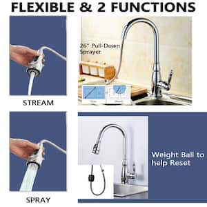 Single Handle Pull Out Sprayer Kitchen Faucet in Chrome
