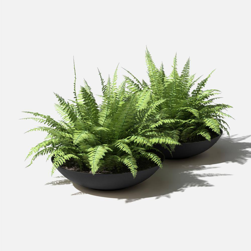 Lane Black 32" Plastic-Stone Round Planter Set