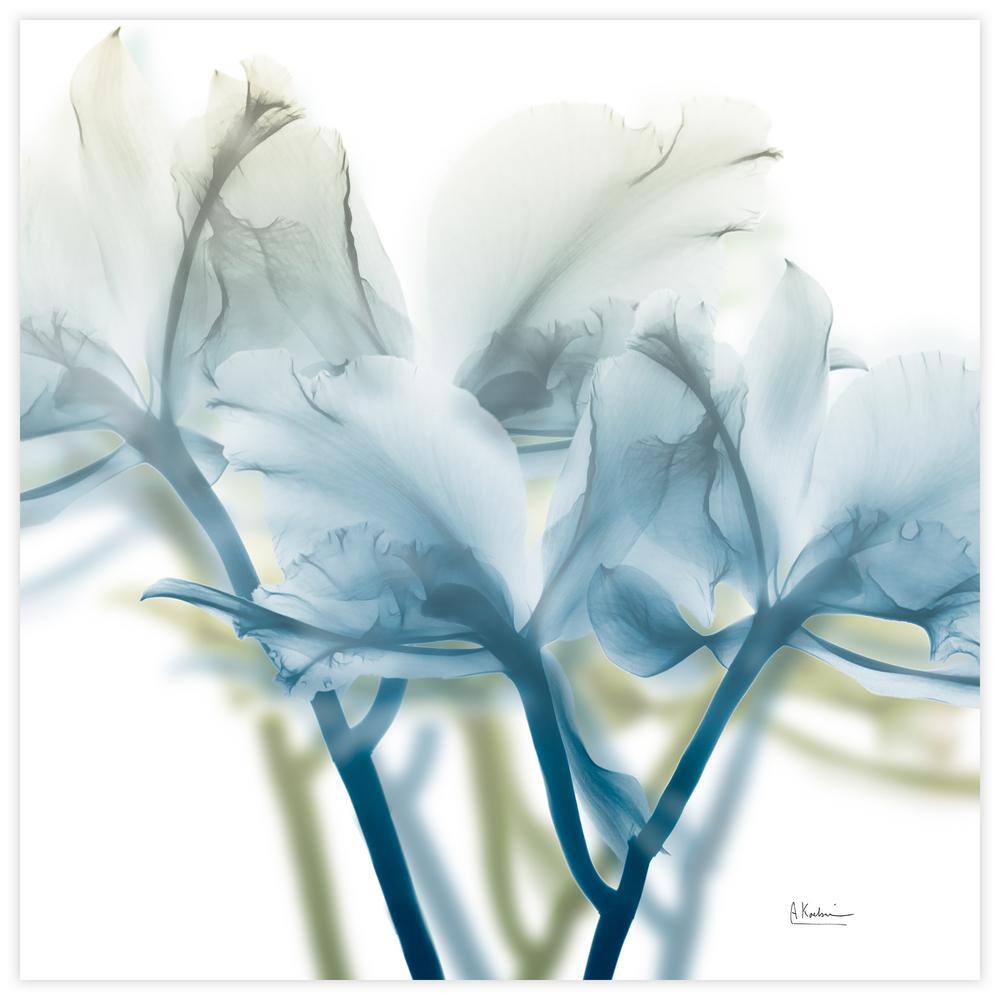 Blue Floral X-Ray Tempered Glass Wall Art, 24" x 24"