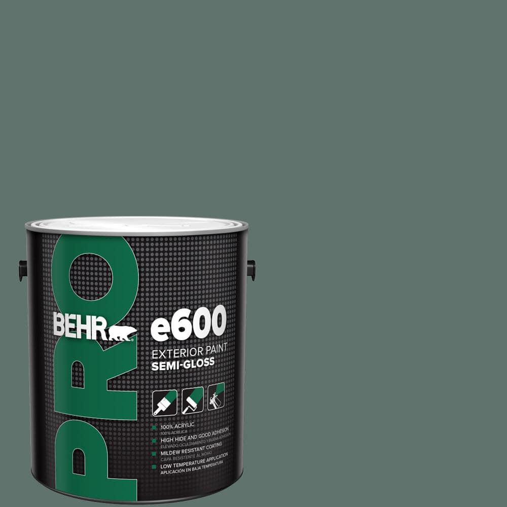 1 gal. #PPU12-17 Cameroon Green Semi-Gloss Exterior Paint price history on PriceWatchPro