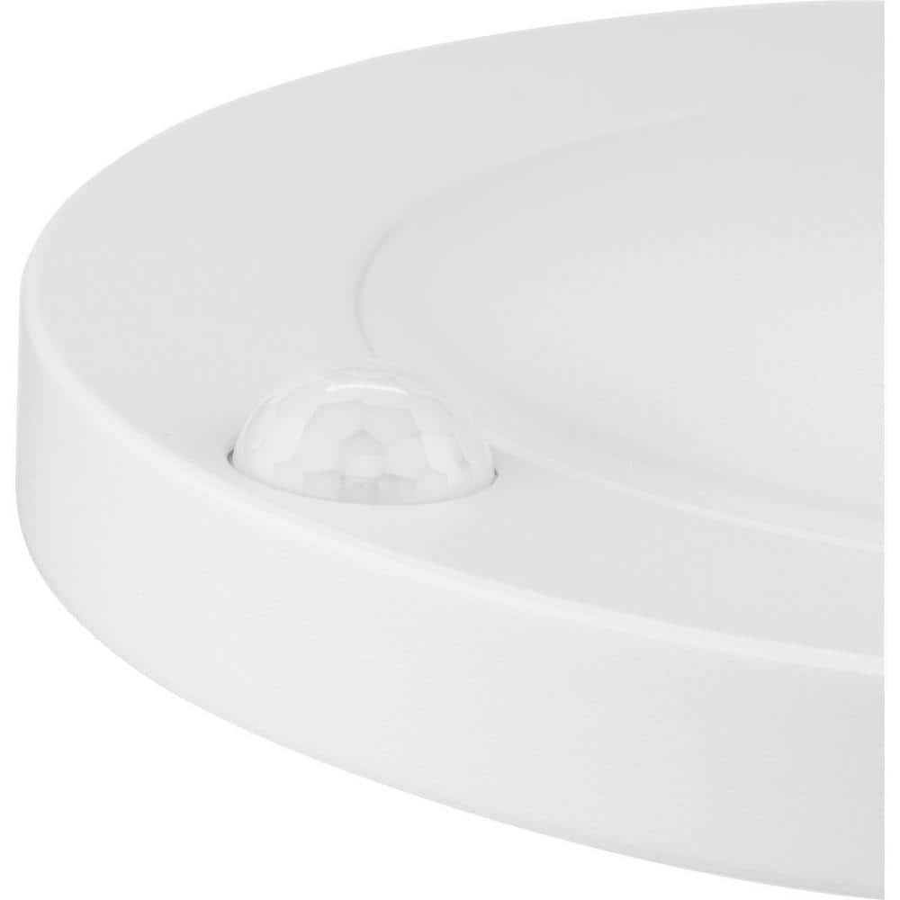 White LED Indoor/Outdoor Drum Flush Mount Light
