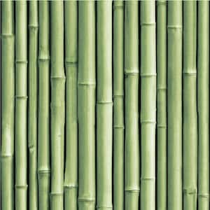 Bamboo Green Peel and Stick Wallpaper (Covers 28.18 sq. ft.)