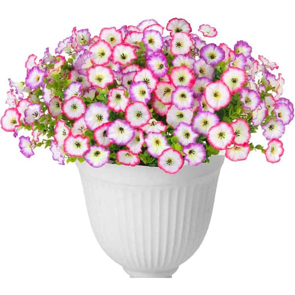 Unbranded 14 in. White Indoor/Outdoor Artificial Morning Glory Flower