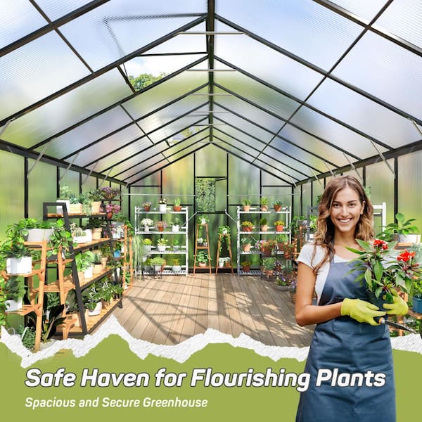 AirWire 10 ft. W x 18 ft. D Polycarbonate Greenhouse with Quick