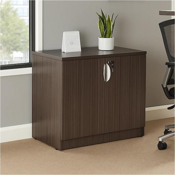 Doe Gray 29.5 in. Accent Storage Cabinet with 1- Shelf and 2-Doors