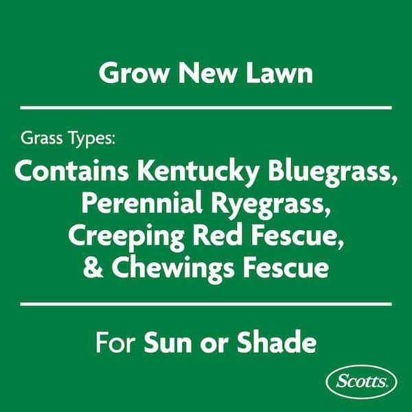 Turf Builder 5.6 lbs. Rapid Grass Sun & Shade Mix Combination Seed and Fertilizer Grows Green Grass in Just Weeks