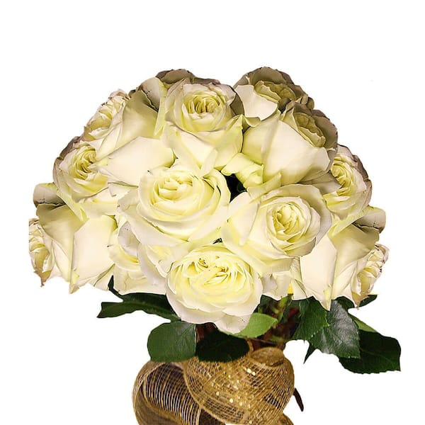 Globalrose 50 Stems Of Pure White Polo Roses Fresh Flower Delivery ...