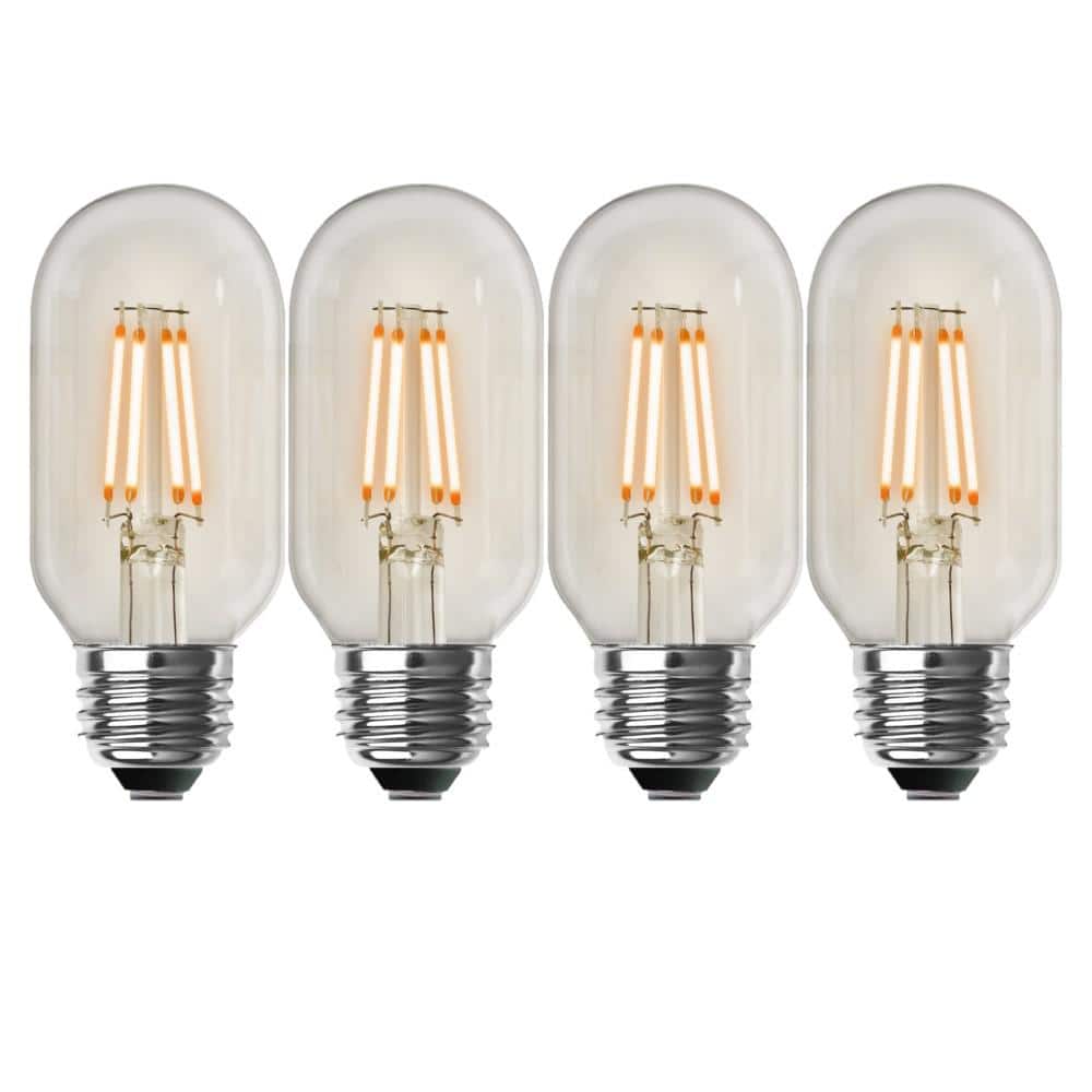 Een bezoek aan grootouders Afspraak Geheugen Feit Electric 40-Watt Equivalent T14 Dimmable Straight Filament Clear Glass  Vintage Edison LED Light Bulb, Soft White (4-Pack) T1440/927CA/HDRP/4 - The  Home Depot