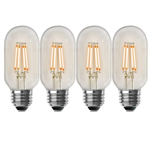 Vintage Edison Style Straight Tubular 60-Watt Incandescent Clear Light Bulb 