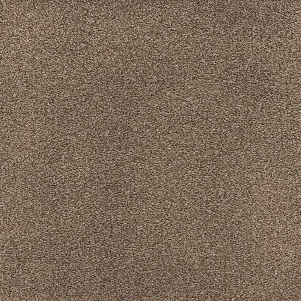 8 in. x  8 in. Texture Carpet Sample - Spicework I -Color Springer price history on PriceWatchPro
