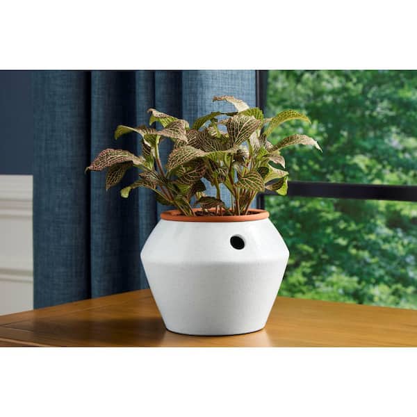 Vigoro Leilani African Violet White Indoor Ceramic Self-Watering