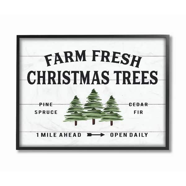 Stupell Industries 16 in. x 20 in. "White Holiday Farm Fresh Christmas Trees Spruce and Fir" by Artist Lettered and Lined Framed Wall Art