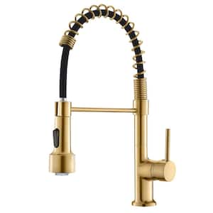 Single Handle High Arc LED Pull Out Sprayer Kitchen Faucet in Gold